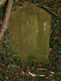image of grave number 17803